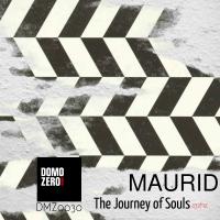 Artwork for The Journey of Souls 432Hz by Maurid