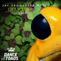 Artwork for Lift You Up by Jay Frog