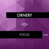 Artwork for Focus by Ornery