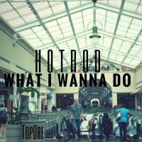 Artwork for What I Wanna Do by HotRod