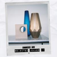 Artwork for Selected Leaves Vol. 1 by Builder's Tea