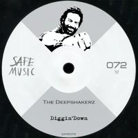 Artwork for Diggin'Down by The Deepshakerz