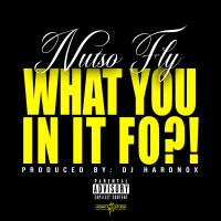 Artwork for What You In It Fo by NutSo FLY