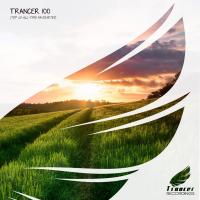 Artwork for Trancer 100 by Various Artists