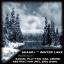 Artwork for Winter Lake (Erio Dono Remix)