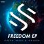 Artwork for Freedom Rework