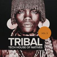 Artwork for Tribal Tech House Of Natives, Vol. 3 by Various Artists