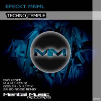 Artwork for Techno Temple by Efeckt Mnml