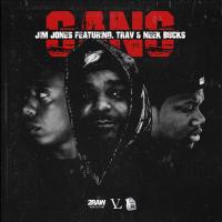 Artwork for Gang (feat. Trav & Neek Bucks) by Jim Jones