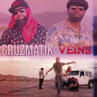 Artwork for Veins (feat. The Sober Junkie) by Cruzmatik