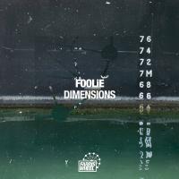 Artwork for Dimensions by Foolie