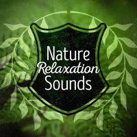 Artwork for Nature: Relaxation Sounds by Sounds of Nature Relaxation