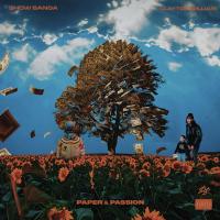 Artwork for Paper & Passion by SHOW BANGA