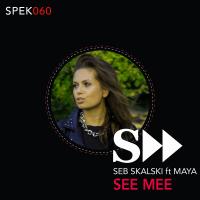 Artwork for See Me by Seb Skalski