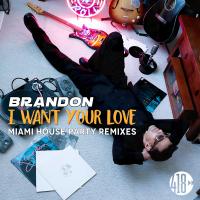 Artwork for I Want Your Love by Brandon