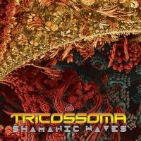 Artwork for Shamanic Waves by Tricossoma