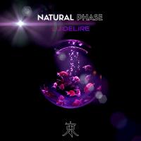 Artwork for Natural Phase by Luidelire