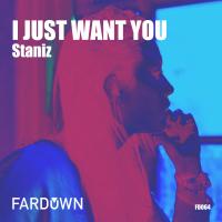 Artwork for I Just Want You by Staniz