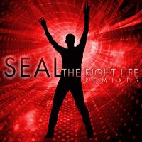 Artwork for The Right Life (The Remixes) by Seal