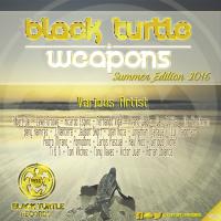 Artwork for Black Turtle Weapons Summer Edition 2016 by Ricardo Espino