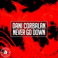 Artwork for Never Go Down by Dani Corbalan