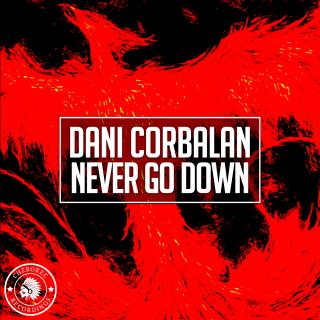 Artwork for Never Go Down (Original Mix)