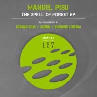 Artwork for The Spell of Forest Ep by Manuel Pisu