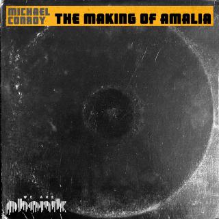 Artwork for The Making of Amelia