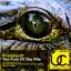 Artwork for The Fury Of The Nile (Orcun Uner Remix)