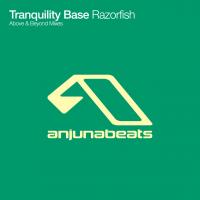 Artwork for Razorfish by Above & Beyond