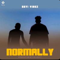 Artwork for Normally by Seyi Vibez