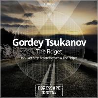 Artwork for The Fidget by Gordey Tsukanov