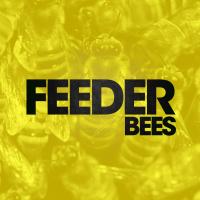 Artwork for Bees (Alt. Mix) by Feeder