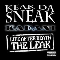 Artwork for Life After Death: The LEAK by Keak Da Sneak