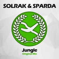 Artwork for Jungle by Solrak