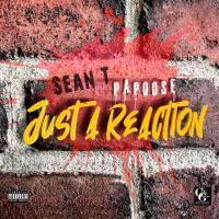 Artwork for Just A Reaction by Sean T