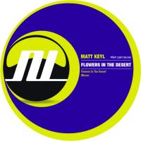 Artwork for Flowers In The Desert EP by Matt Keyl