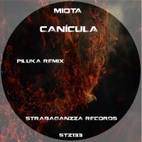Artwork for Canícula by Miota