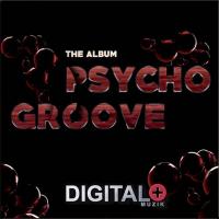 Artwork for The Album PsychoGroove by PsychoGroove