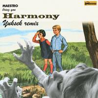 Artwork for Harmony (Yuksek Remix) by Maestro