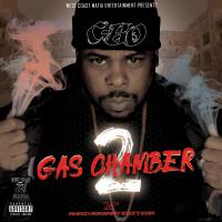 Artwork for Gas Chamber 2 by C Bo