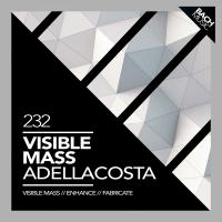 Artwork for Visible Mass by Adellacosta