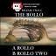 Artwork for Rollo (Original Mix)