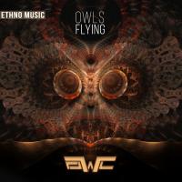 Artwork for Owls Flying by OWL.