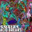Artwork for Acid Breaks (Original Mix)