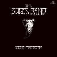 Artwork for Long in the Tooth by The Budos Band