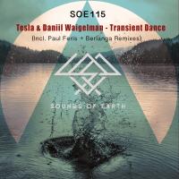 Artwork for Transient Dancer by Tesla