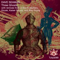 Artwork for Three Ghosts by Dave Seaman