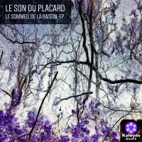 Artwork for Le Sommeil De La Raison by Le Son Du Placard