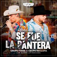 Artwork for Se Fue La Pantera by Grupo Firme